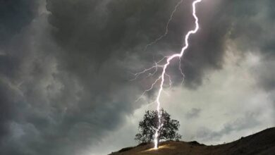 राजपत्रिका : मनेन्द्रगढ़ सिटी कोतवाली क्षेत्र के चैनपुर इलाके में एक दर्दनाक हादसा… KSHITITECH