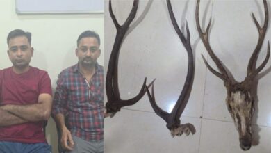 राजपत्रिका : मोवा में हिरण सींग की तस्करी, वन विभाग ने दो शिकारी को पकड़ा… KSHITITECH
