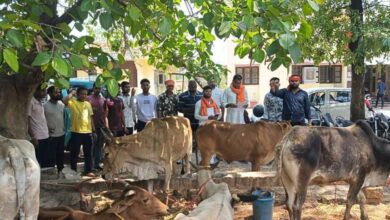 राजपत्रिका : गौ तस्करी पर पुलिस का शिकंजा : पिकअप से 8 गौवंश को किया बरामद, नाबालिग समेत 2 आरोपी गिरफ्तार KSHITITECH