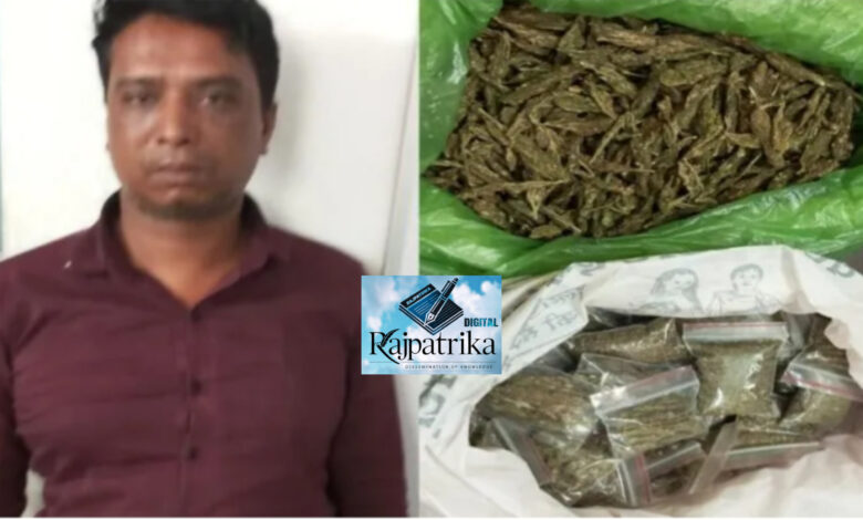 राजपत्रिका : रायपुर पुलिस की बड़ी कार्रवाई: गांजा के साथ हिस्ट्रीशीटर पन्नालाल पारधी गिरफ्तार KSHITITECH