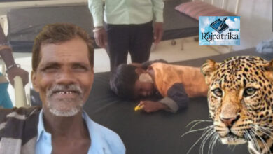 राजपत्रिका : दादा की डेयरिंग : घर से बच्चे को मुंह में दबाकर ले जा रहा था तेंदुआ, दादा ने जान पर खेलकर पोते की बचाई जान KSHITITECH