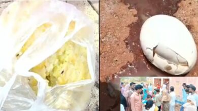 राजपत्रिका : आंगनबाड़ी केंद्र में परोस दी 3 दिन पुरानी खिचड़ी और सड़े हुए अंडे : उल्टियां करने लगे बच्चे.. KSHITITECH