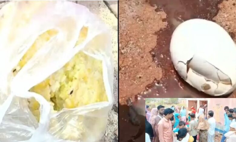 राजपत्रिका : आंगनबाड़ी केंद्र में परोस दी 3 दिन पुरानी खिचड़ी और सड़े हुए अंडे : उल्टियां करने लगे बच्चे.. KSHITITECH