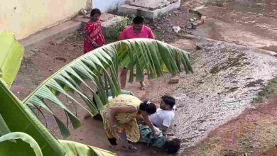 राजपत्रिका : कचरा फेंकने को लेकर विवाद, महिला ने आरी से पड़ोसियों को मारा, एक ही परिवार के तीन लोग घायल KSHITITECH