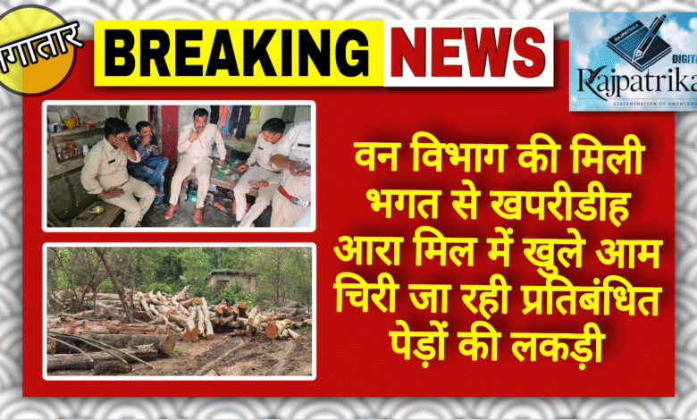 राजपत्रिका : वन विभाग की मिली भगत से खपरीडीह आरा मिल में खुले आम चिरी जा रही प्रतिबंधित पेड़ों की लकड़ी KSHITITECH