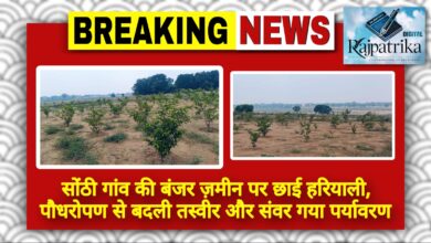 राजपत्रिका : सोंठी गांव की बंजर ज़मीन पर छाई हरियाली, पौधरोपण से बदली तस्वीर और संवर गया पर्यावरण KSHITITECH