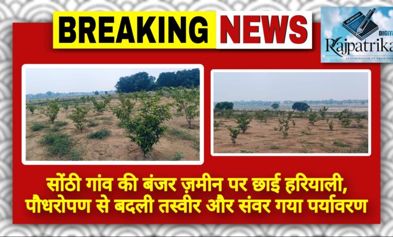 राजपत्रिका : सोंठी गांव की बंजर ज़मीन पर छाई हरियाली, पौधरोपण से बदली तस्वीर और संवर गया पर्यावरण KSHITITECH