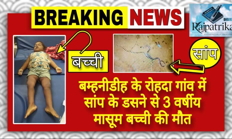 राजपत्रिका : बम्हनीडीह के रोहदा गांव में सांप के डसने से 3 वर्षीय मासूम बच्ची की मौत KSHITITECH