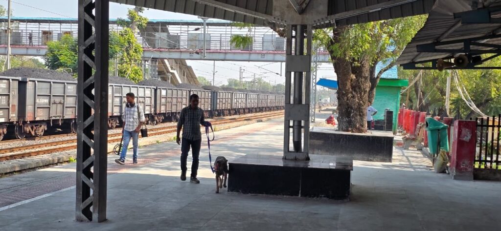 राजपत्रिका : जांजगीर-चांपा पुलिस हाई अलर्ट पर, दिल्ली बम धमाके के बाद जिले में सघन जांच अभियान KSHITITECH