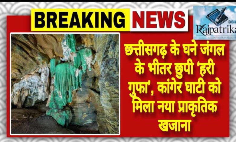 राजपत्रिका : छत्तीसगढ़ के घने जंगल के भीतर छुपी ‘हरी गुफा’, कांगेर घाटी को मिला नया प्राकृतिक खजाना KSHITITECH