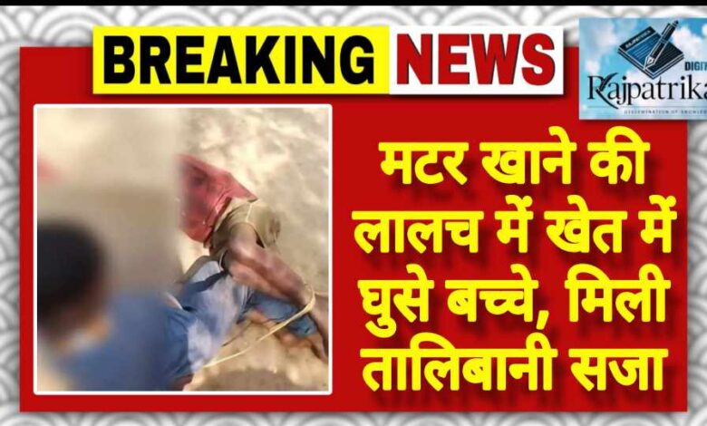 राजपत्रिका : मटर खाने की लालच में खेत में घुसे बच्चे, मिली तालिबानी सजा KSHITITECH