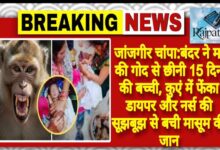 राजपत्रिका : जांजगीर चांपा:बंदर ने मां की गोद से छीनी 15 दिन की बच्ची, कुएं में फेंका डायपर और नर्स की सूझबूझ से बची मासूम की जान KSHITITECH