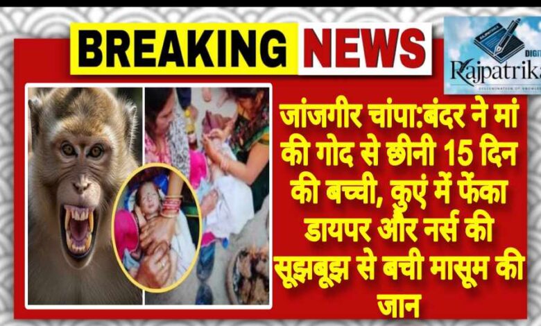 राजपत्रिका : जांजगीर चांपा:बंदर ने मां की गोद से छीनी 15 दिन की बच्ची, कुएं में फेंका डायपर और नर्स की सूझबूझ से बची मासूम की जान KSHITITECH
